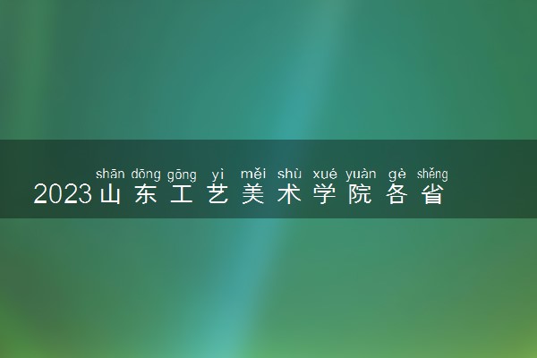 2023山东工艺美术学院各省录取分数线是多少 投档最低分及位次