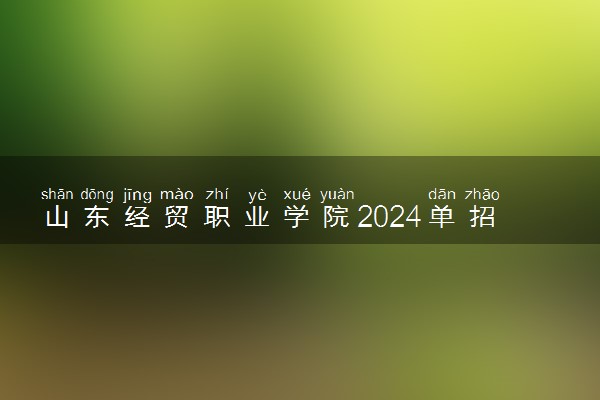 山东经贸职业学院2024单招和综合评价招生专业及计划