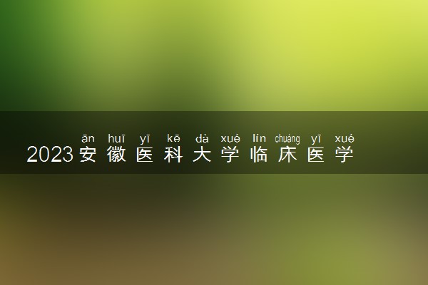 2023安徽医科大学临床医学院各省录取分数线是多少 投档最低分及位次