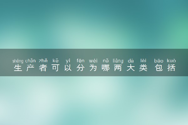 生产者可以分为哪两大类 包括什么