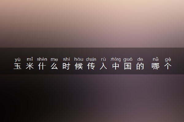 玉米什么时候传入中国的 哪个朝代