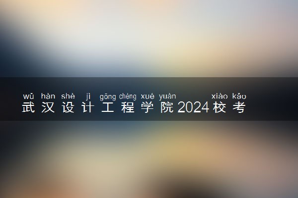 武汉设计工程学院2024校考成绩查询时间及入口 在哪公布