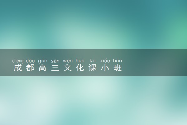 成都高三文化课小班