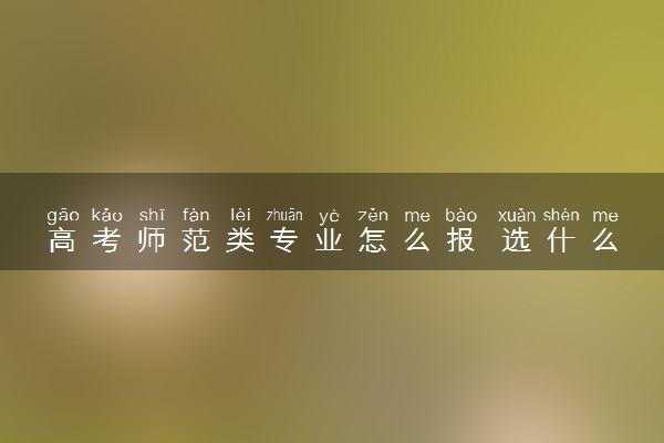高考师范类专业怎么报 选什么专业前景好