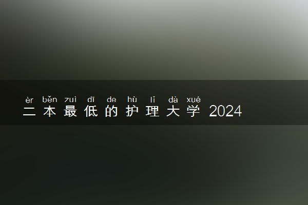 二本最低的护理大学 2024适合捡漏的大学