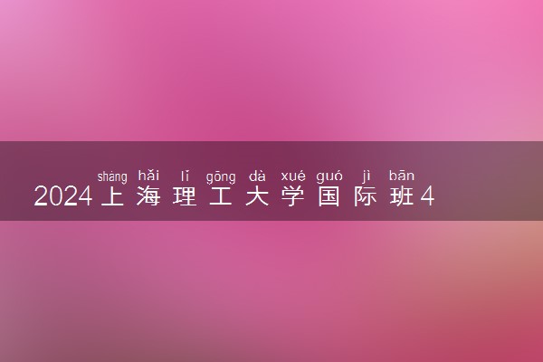 2024上海理工大学国际班4+0的申请条件