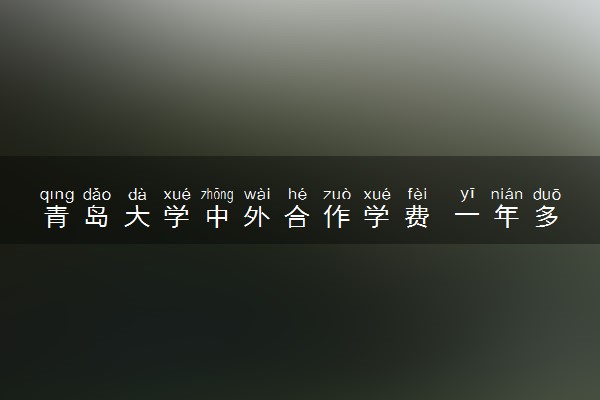 青岛大学中外合作学费 一年多少钱