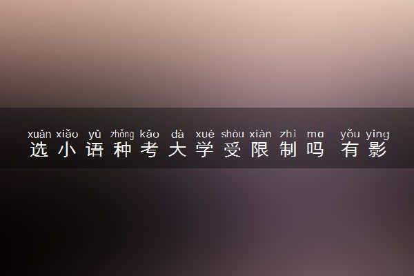 选小语种考大学受限制吗 有影响吗