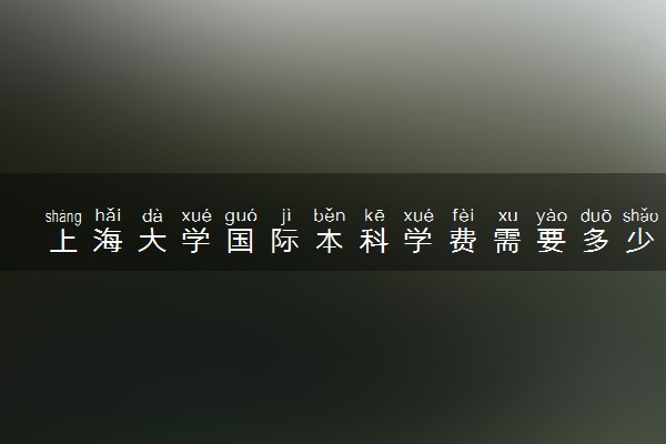 上海大学国际本科学费需要多少 一年花费多少钱