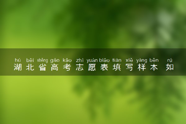 湖北省高考志愿表填写样本 如何报志愿