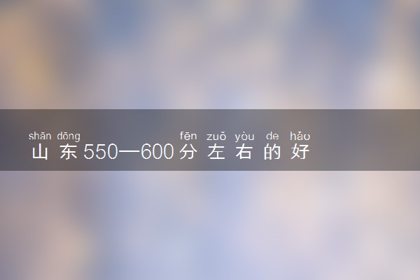 山东550—600分左右的好大学 什么学校值得报