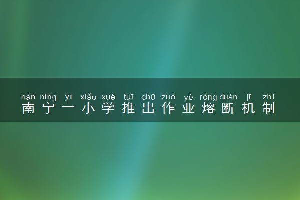 南宁一小学推出作业熔断机制 什么情况
