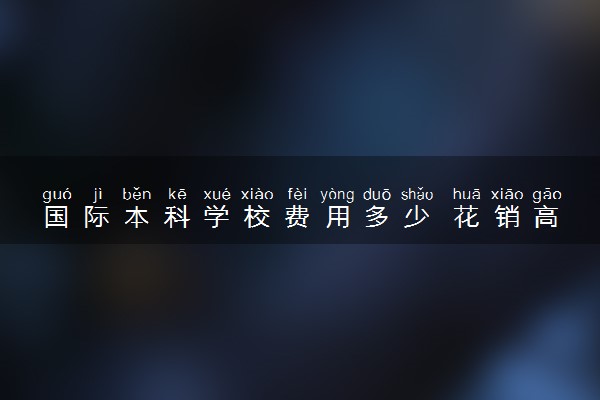 国际本科学校费用多少 花销高吗