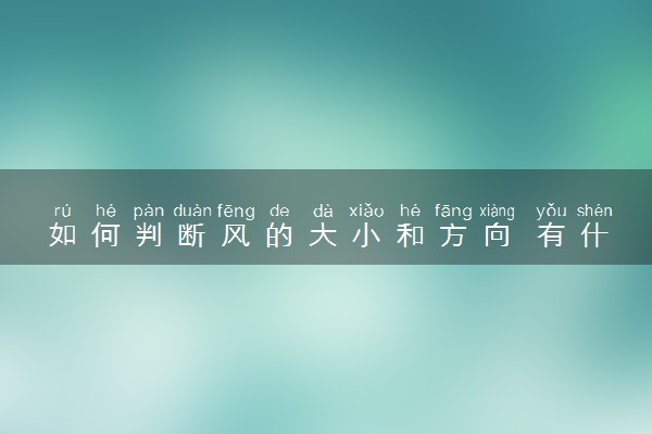 如何判断风的大小和方向 有什么方法