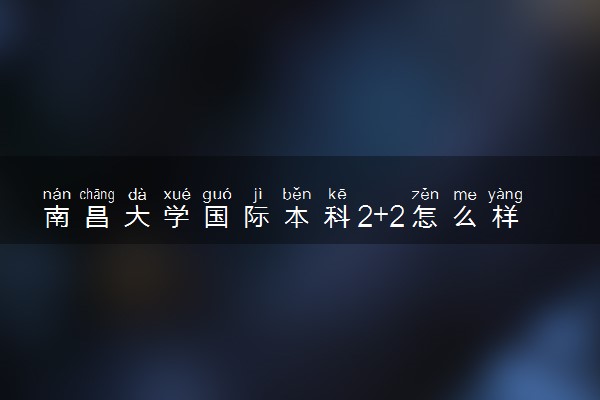 南昌大学国际本科2+2怎么样
