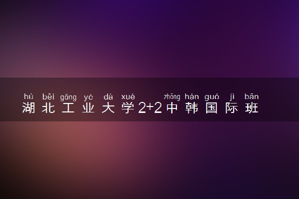 湖北工业大学2+2中韩国际班专业