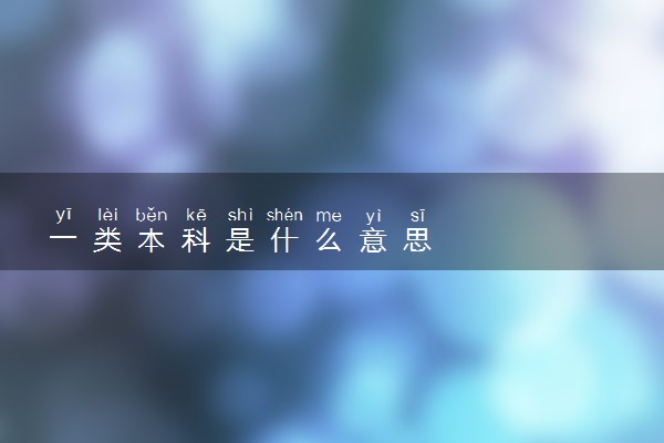 一类本科是什么意思