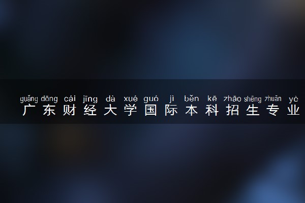 广东财经大学国际本科招生专业及就业方向