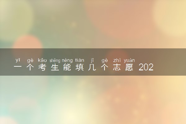 一个考生能填几个志愿 2024高考志愿怎么填报