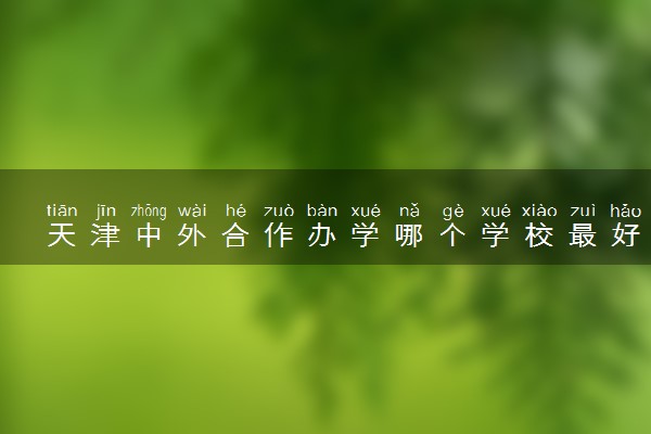 天津中外合作办学哪个学校最好含金量高