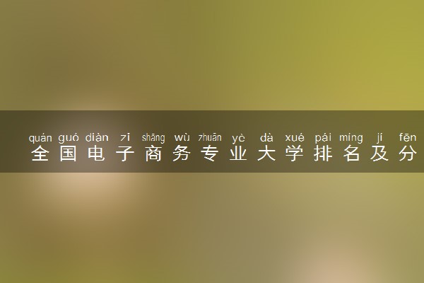 全国电子商务专业大学排名及分数线(2024年高考参考)