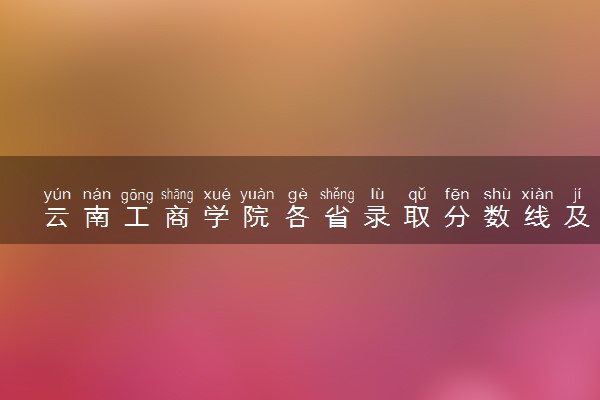 云南工商学院各省录取分数线及位次 投档最低分是多少(2024年高考参考)