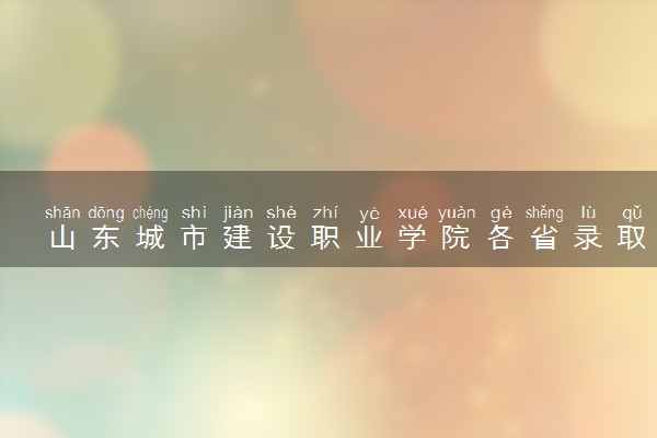 山东城市建设职业学院各省录取分数线及位次 投档最低分是多少(2024年高考参考)