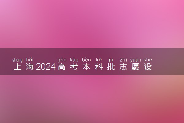 上海2024高考本科批志愿设置 可以报几所大学