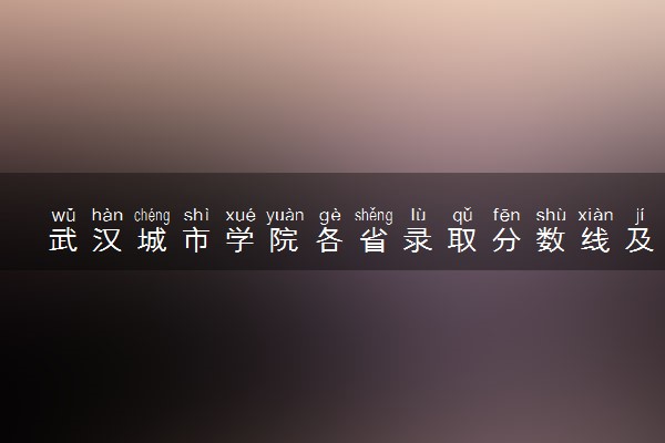 武汉城市学院各省录取分数线及位次 投档最低分是多少(2024年高考参考)