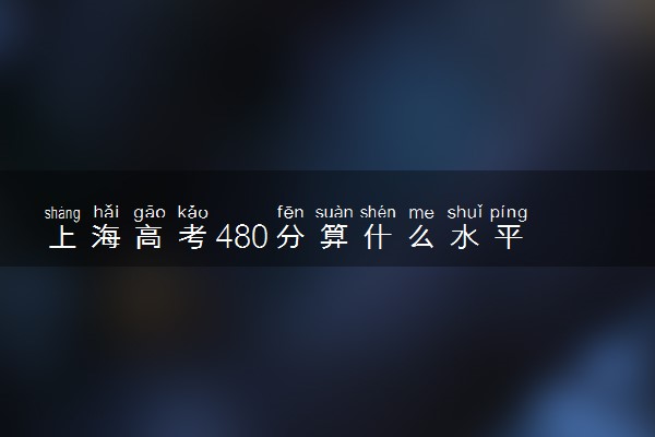 上海高考480分算什么水平 2024能上哪些大学