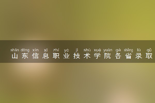 山东信息职业技术学院各省录取分数线及位次 投档最低分是多少(2024年高考参考)