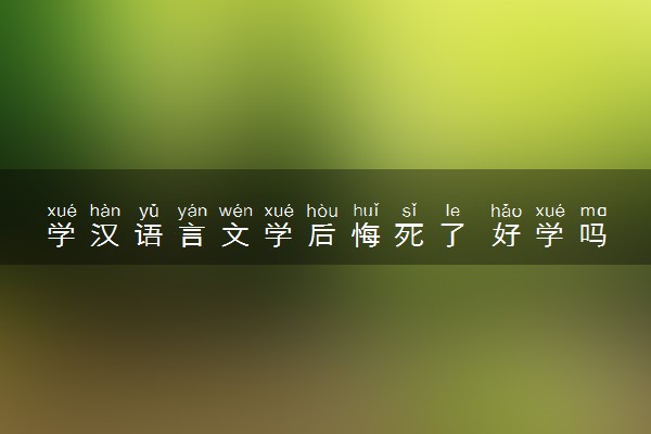 学汉语言文学后悔死了 好学吗