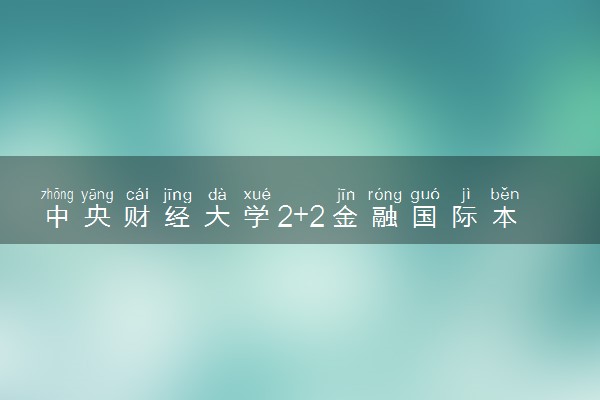 中央财经大学2+2金融国际本科报名流程