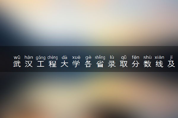 武汉工程大学各省录取分数线及位次 投档最低分是多少(2024年高考参考)