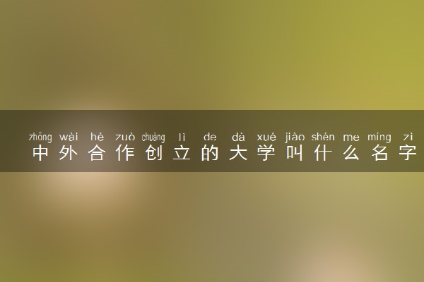 中外合作创立的大学叫什么名字 有哪些学校