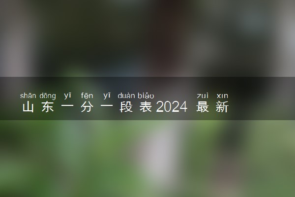 山东一分一段表2024 最新高考成绩排名