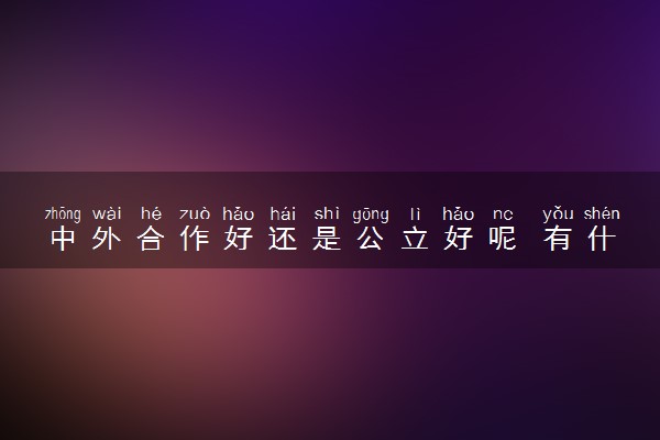 中外合作好还是公立好呢 有什么区别