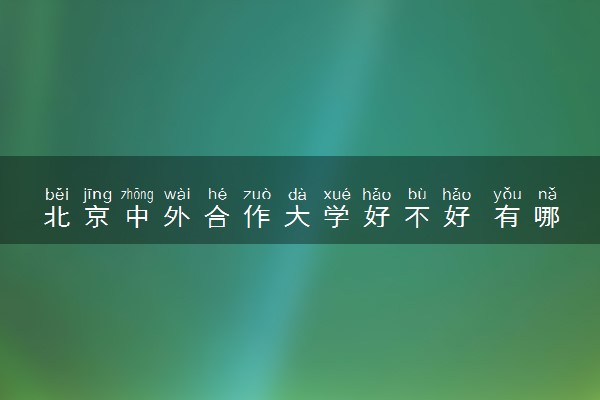 北京中外合作大学好不好 有哪些优势