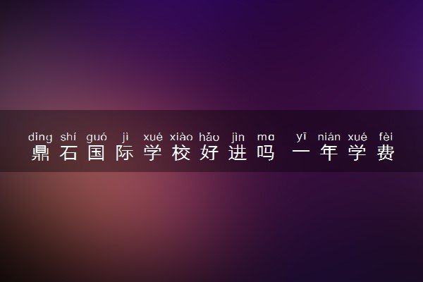 鼎石国际学校好进吗 一年学费多少