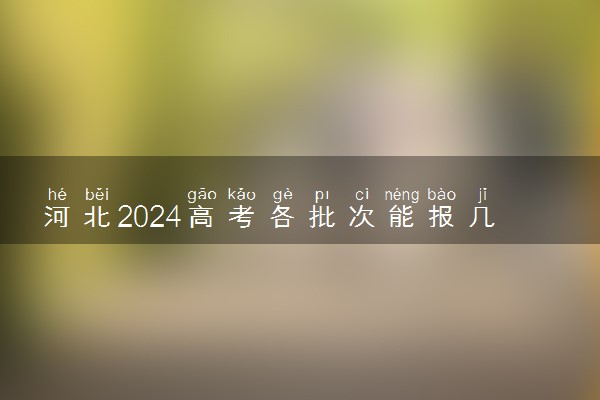 河北2024高考各批次能报几个志愿 可以报几个大学和专业