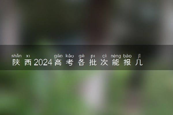 陕西2024高考各批次能报几个志愿 可以报几个大学和专业