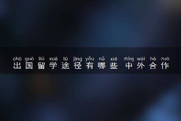 出国留学途径有哪些 中外合作办学认可度高吗