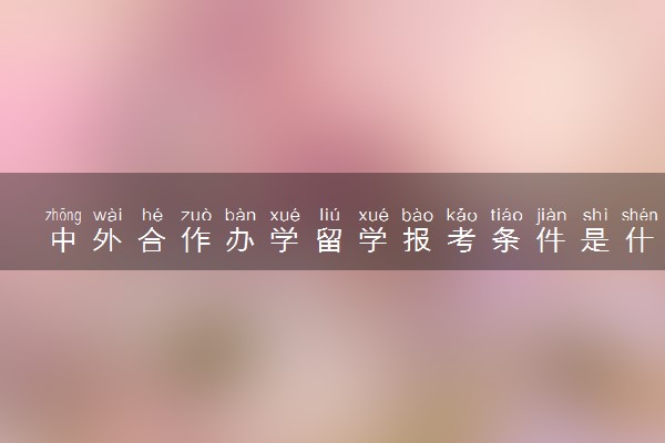 中外合作办学留学报考条件是什么