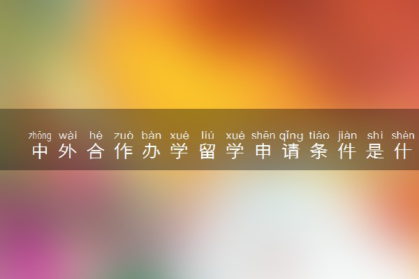 中外合作办学留学申请条件是什么