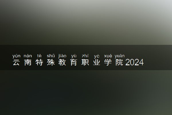 云南特殊教育职业学院2024年录取分数线 各专业录取最低分及位次