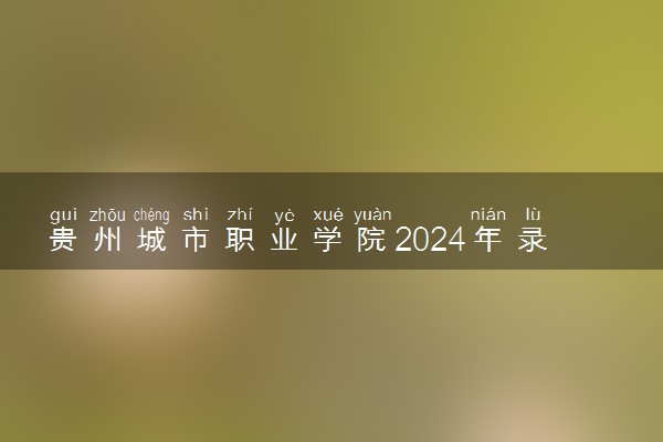 贵州城市职业学院2024年录取分数线 各专业录取最低分及位次