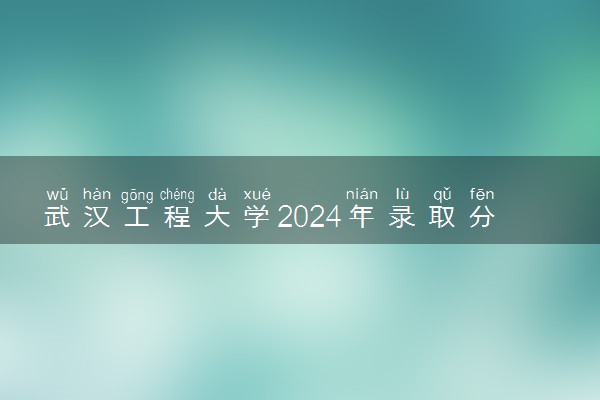 武汉工程大学2024年录取分数线 各专业录取最低分及位次