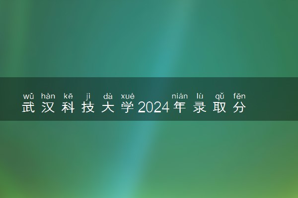 武汉科技大学2024年录取分数线 各专业录取最低分及位次