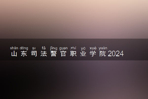 山东司法警官职业学院2024年录取分数线 各专业录取最低分及位次