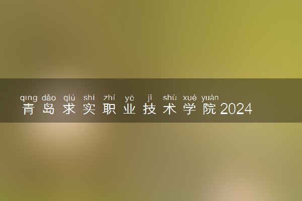 青岛求实职业技术学院2024年录取分数线 各专业录取最低分及位次